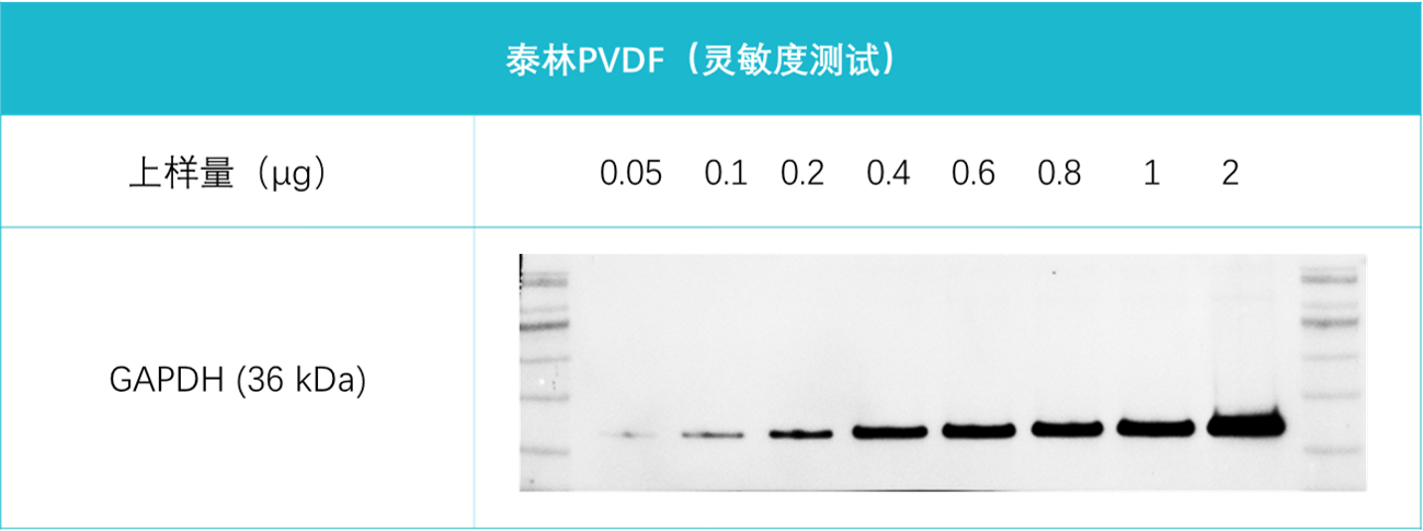 pvdf灵敏度测试.png