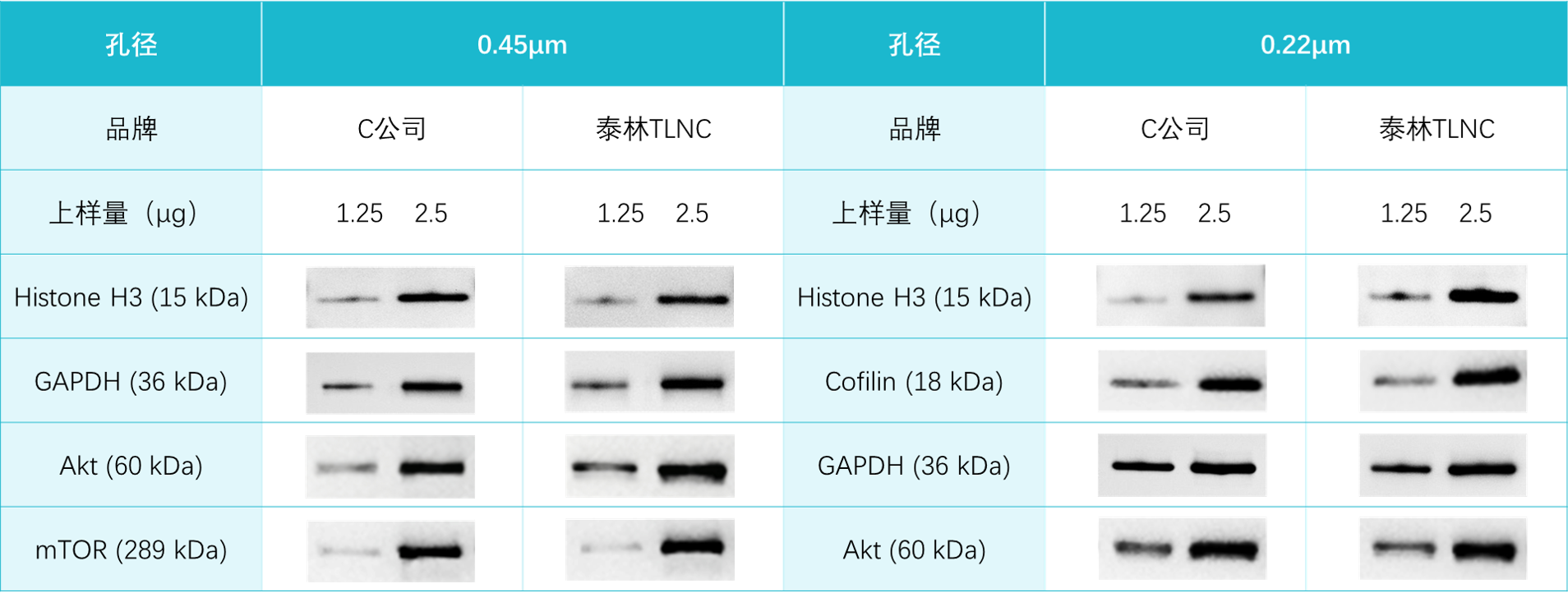 nc转印.png